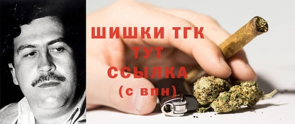дурь Магас