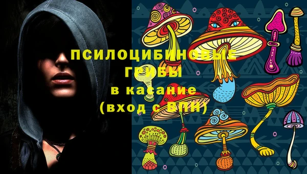 дурь Магас