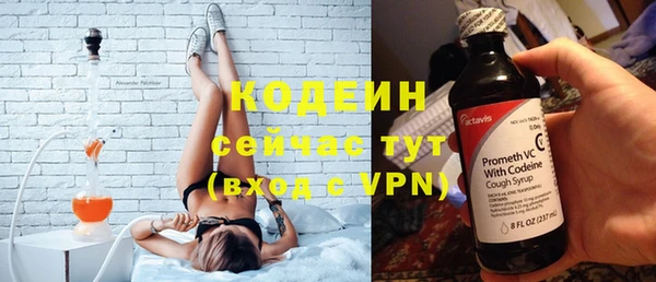 прущие грибы Липки